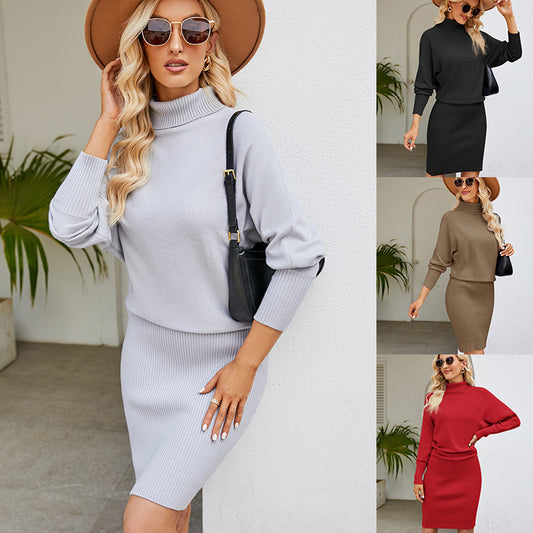 Minimalist High Neck Sweater Dress